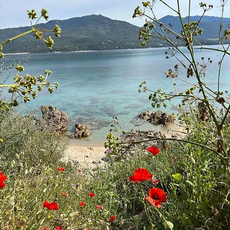 Rez De A 15 Min Des Plages Apartman Arbellara